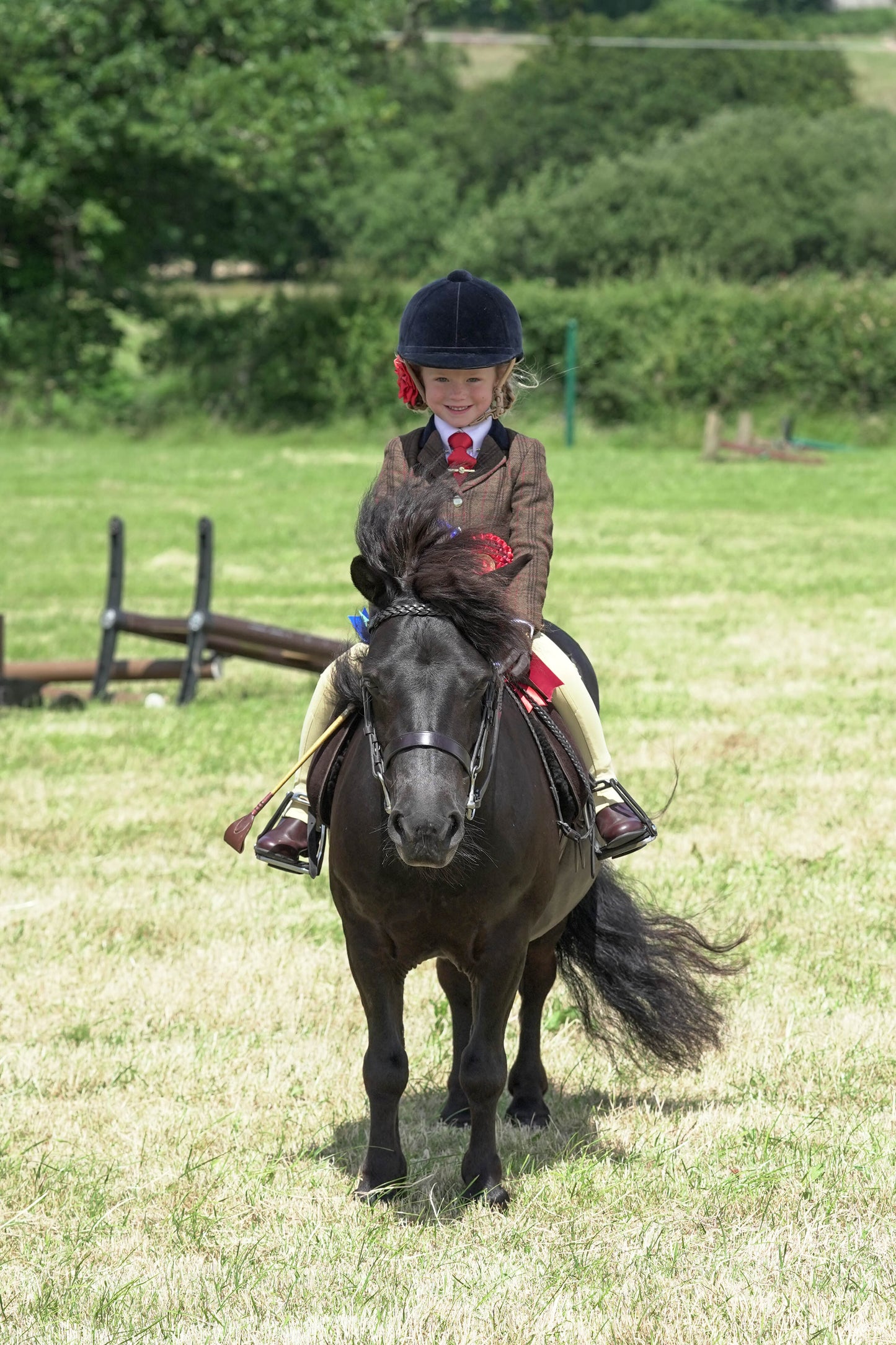 fbh hunter ring championship