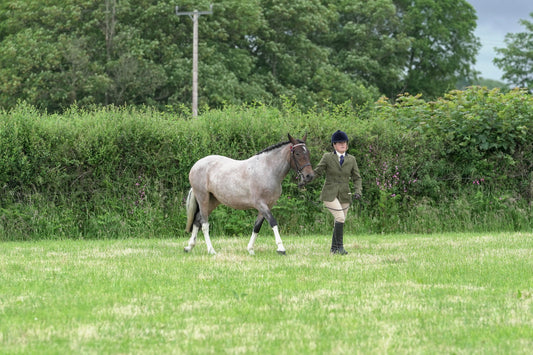 fbh in hand class1