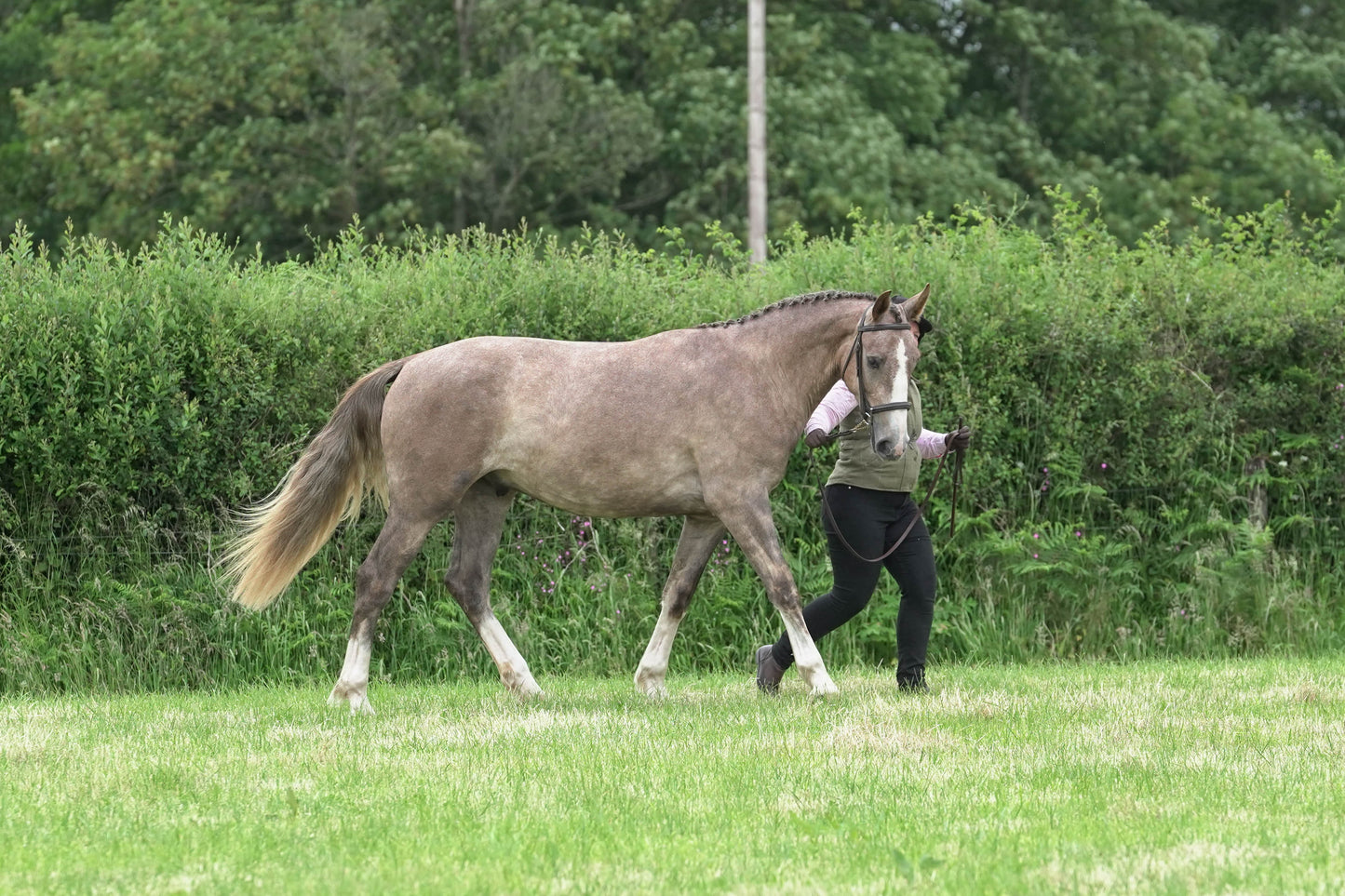 fbh in hand class1