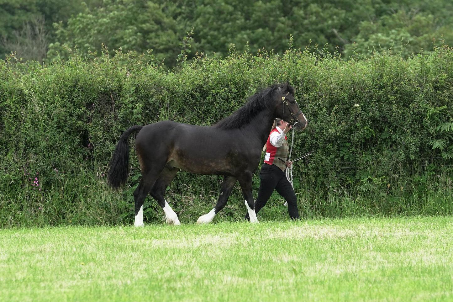 fbh in hand class1