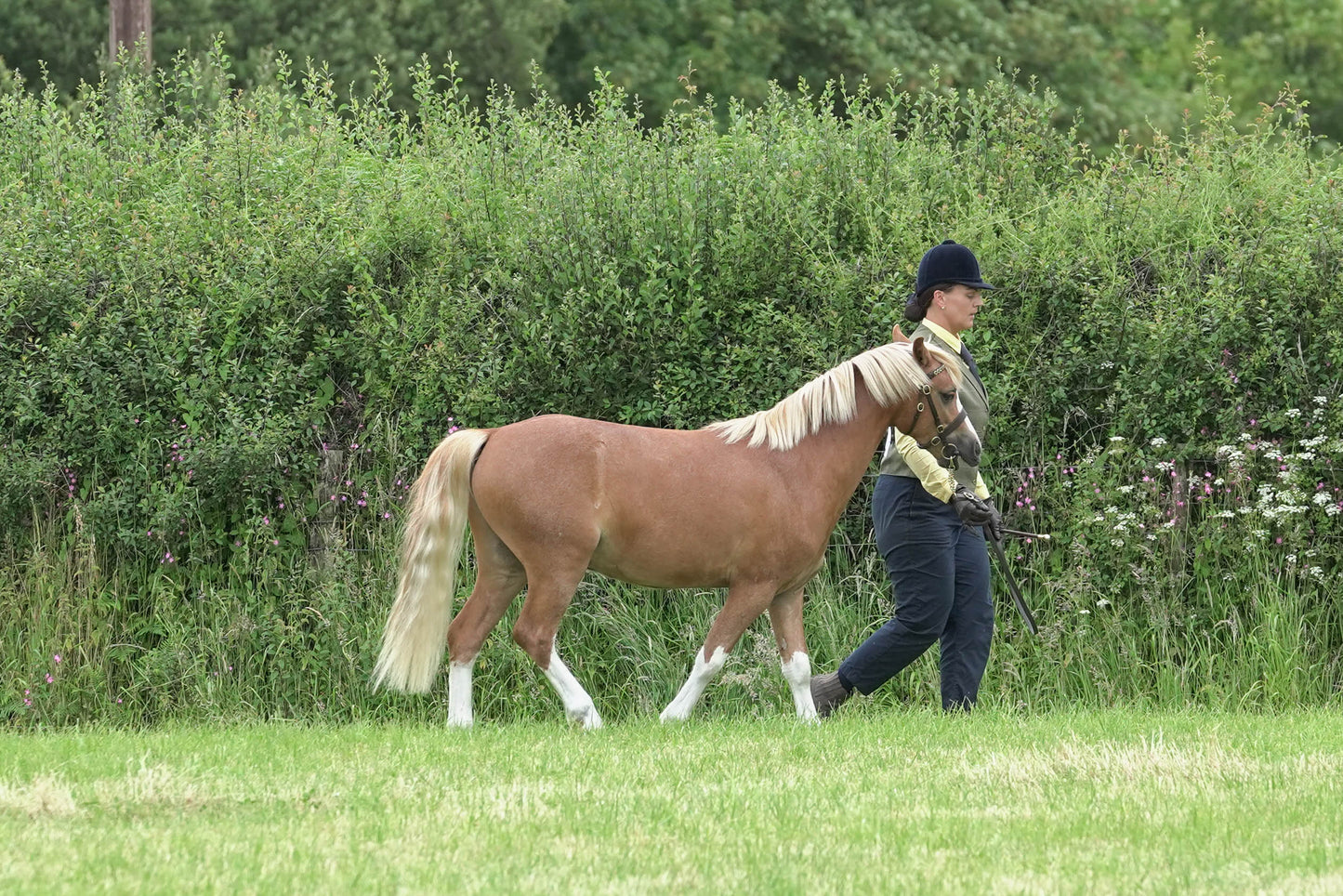 fbh in hand class1