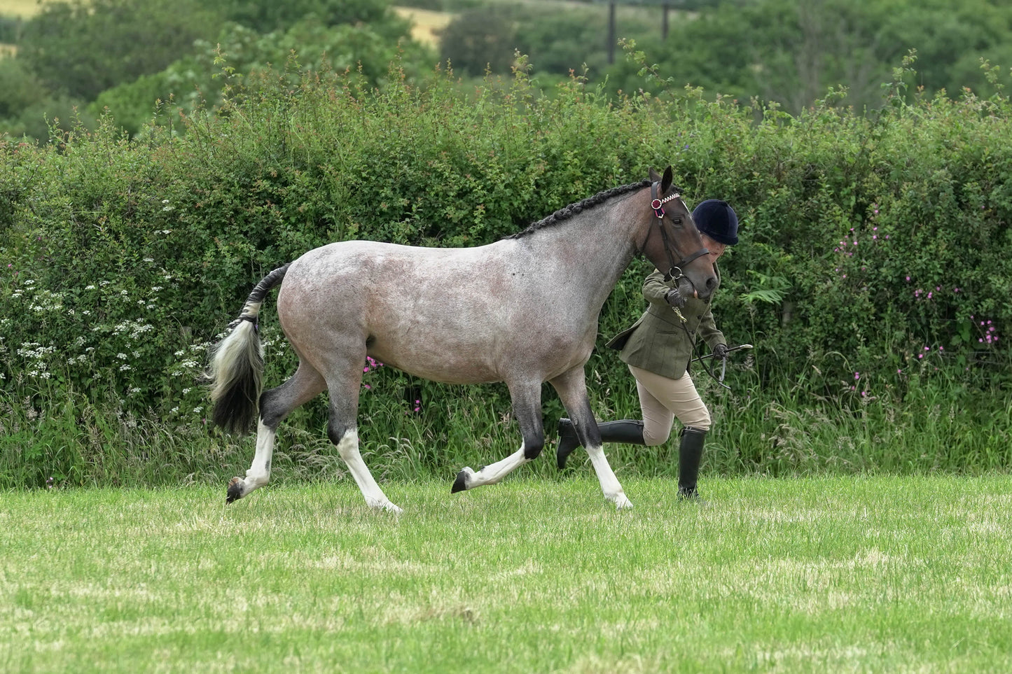 fbh in hand class1