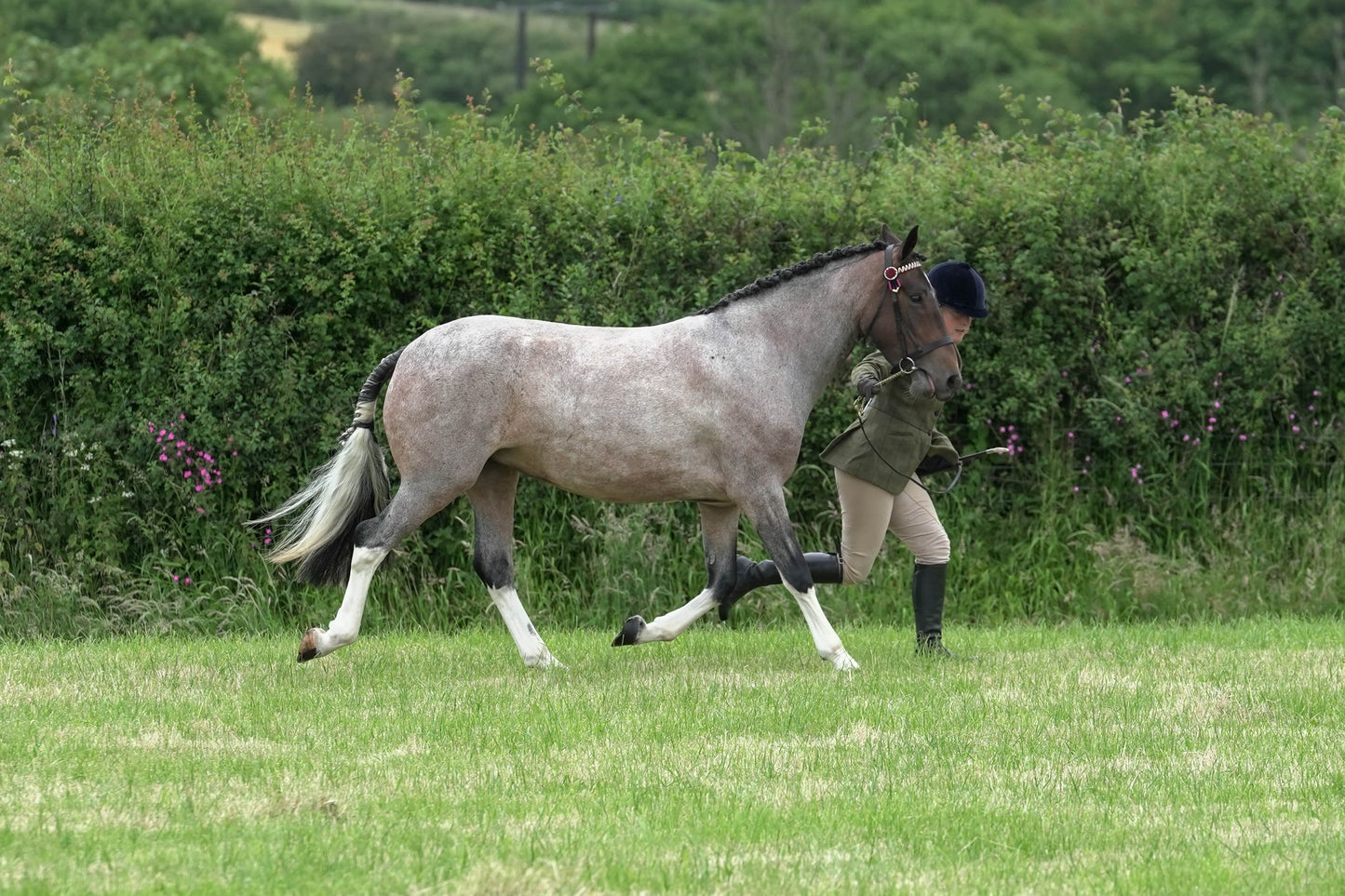 fbh in hand class1