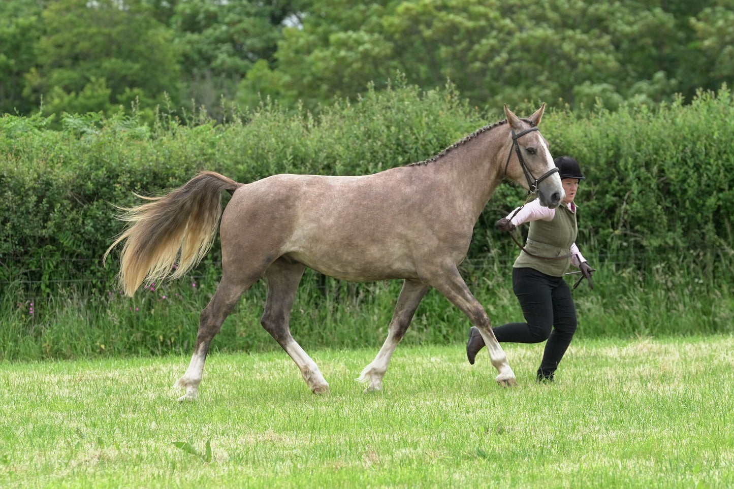 fbh in hand class1
