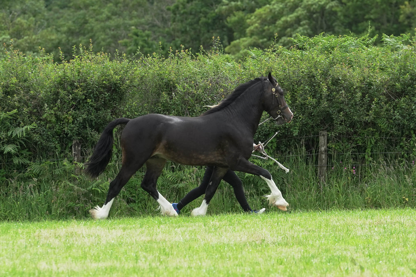 fbh in hand class1