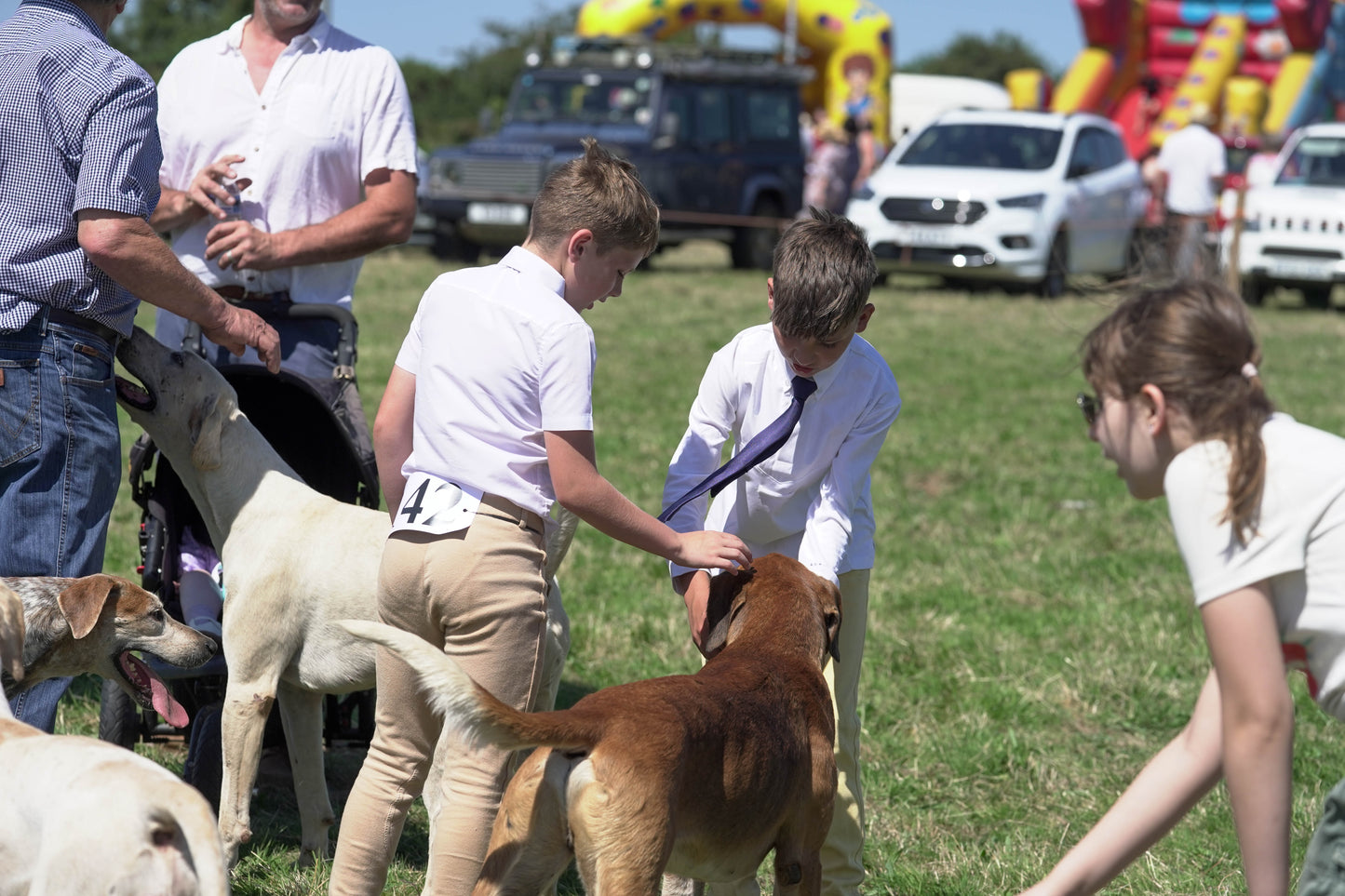 hounds