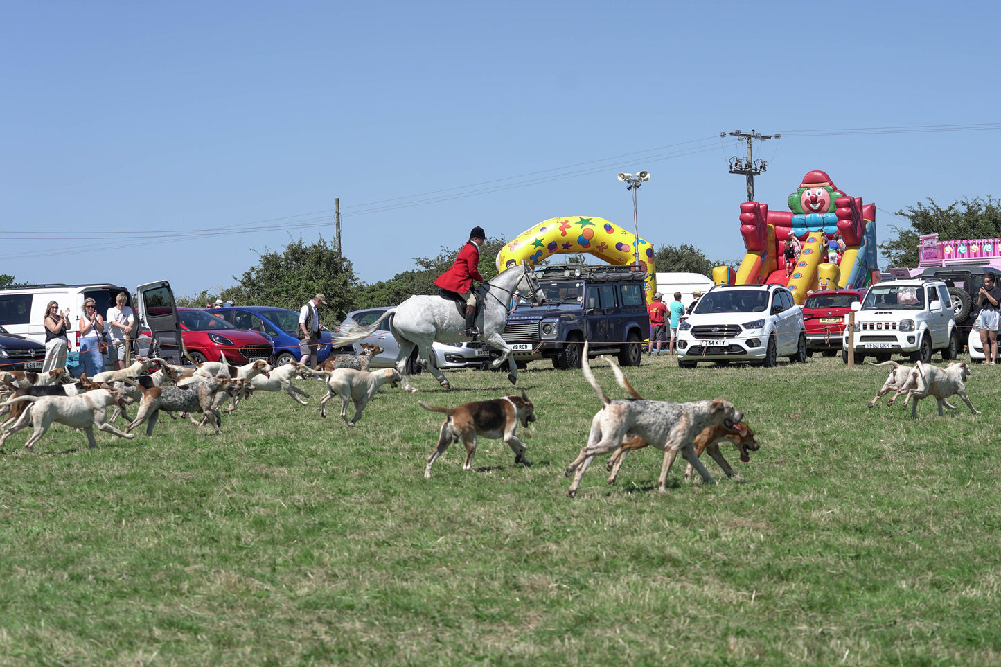 hounds