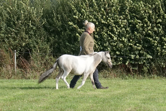 lanlivery show in hand part 1