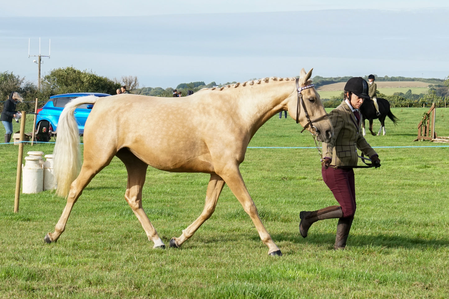 lanlivery show in hand part 1