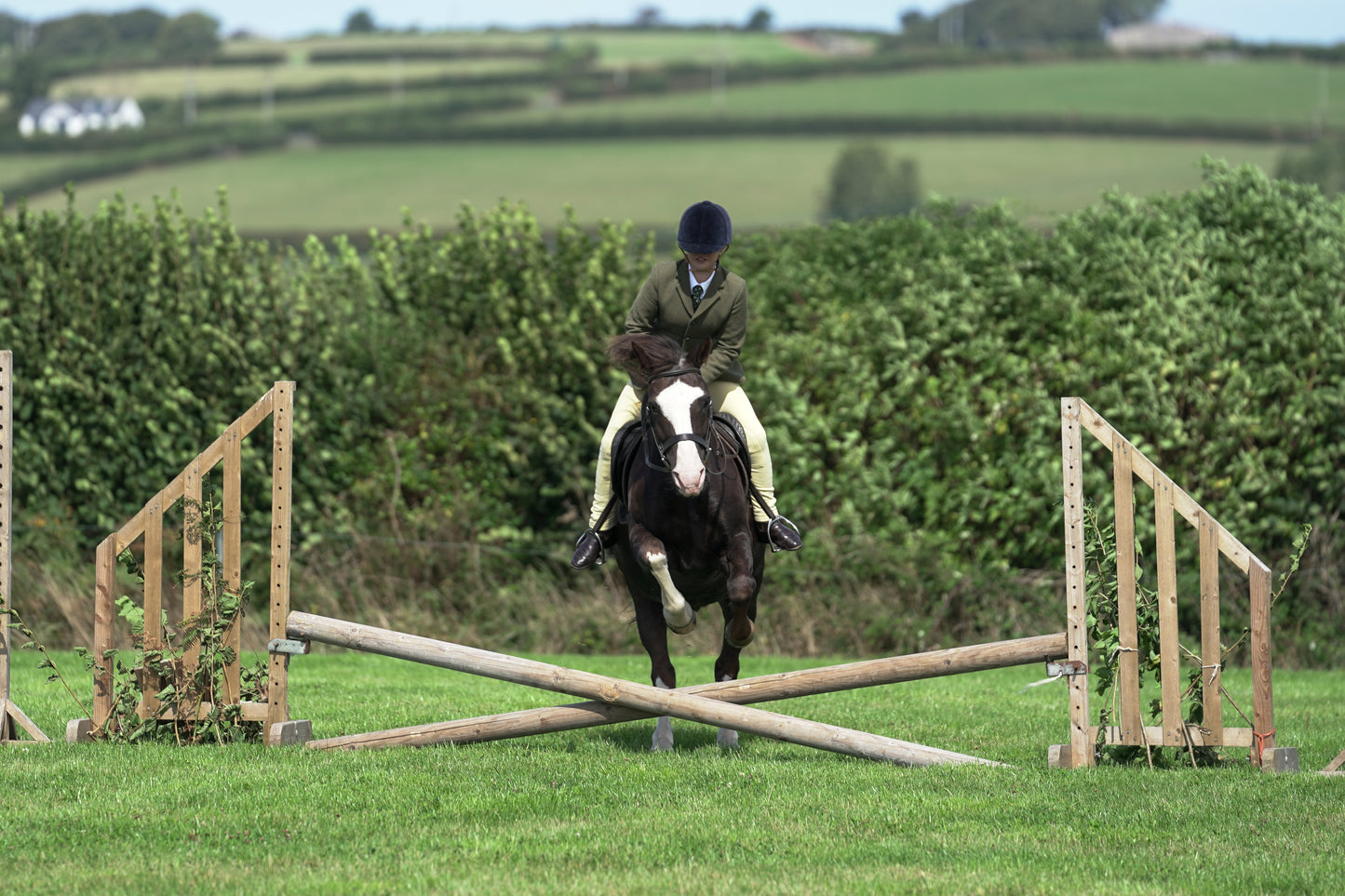 lanlivery show jumping rings part 1