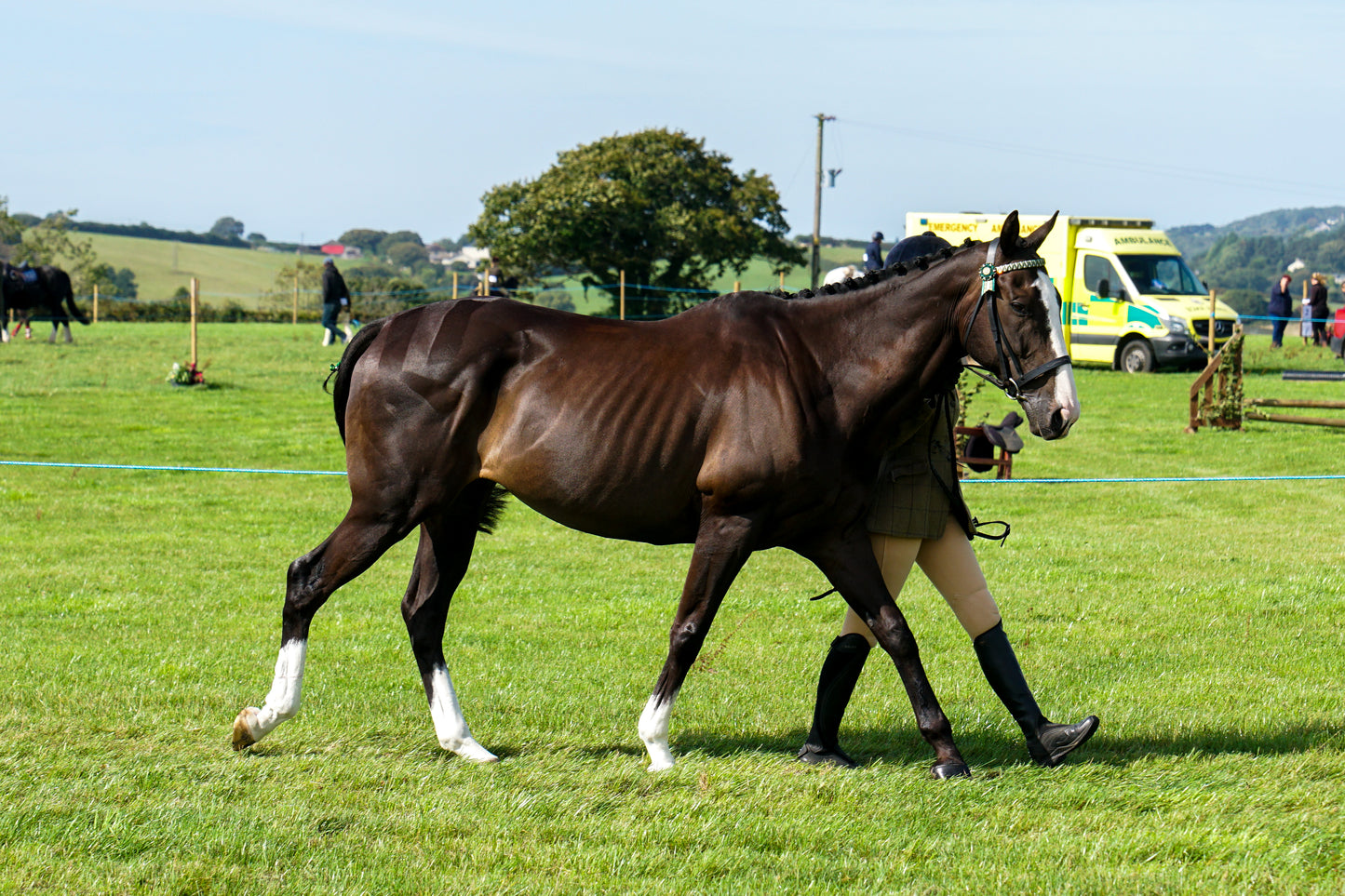 lanlivery show in hand part 2