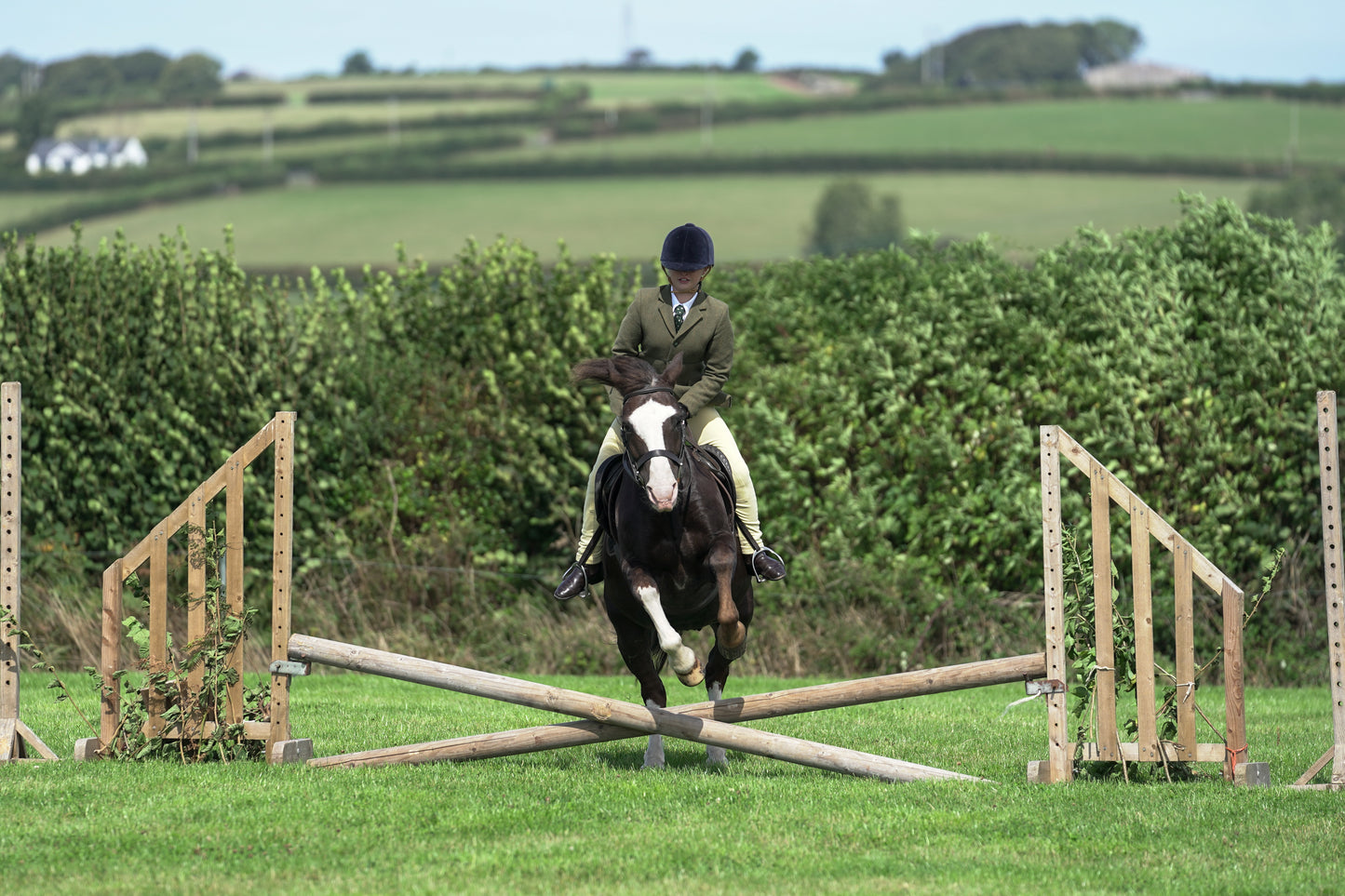 lanlivery show jumping rings part 2