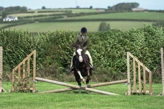 lanlivery show jumping rings part 2
