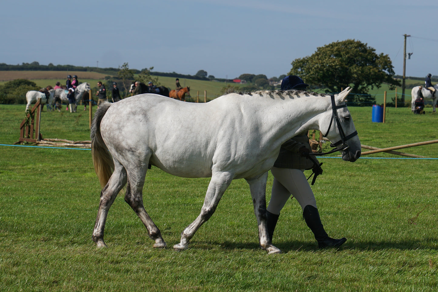 lanlivery show in hand part 2