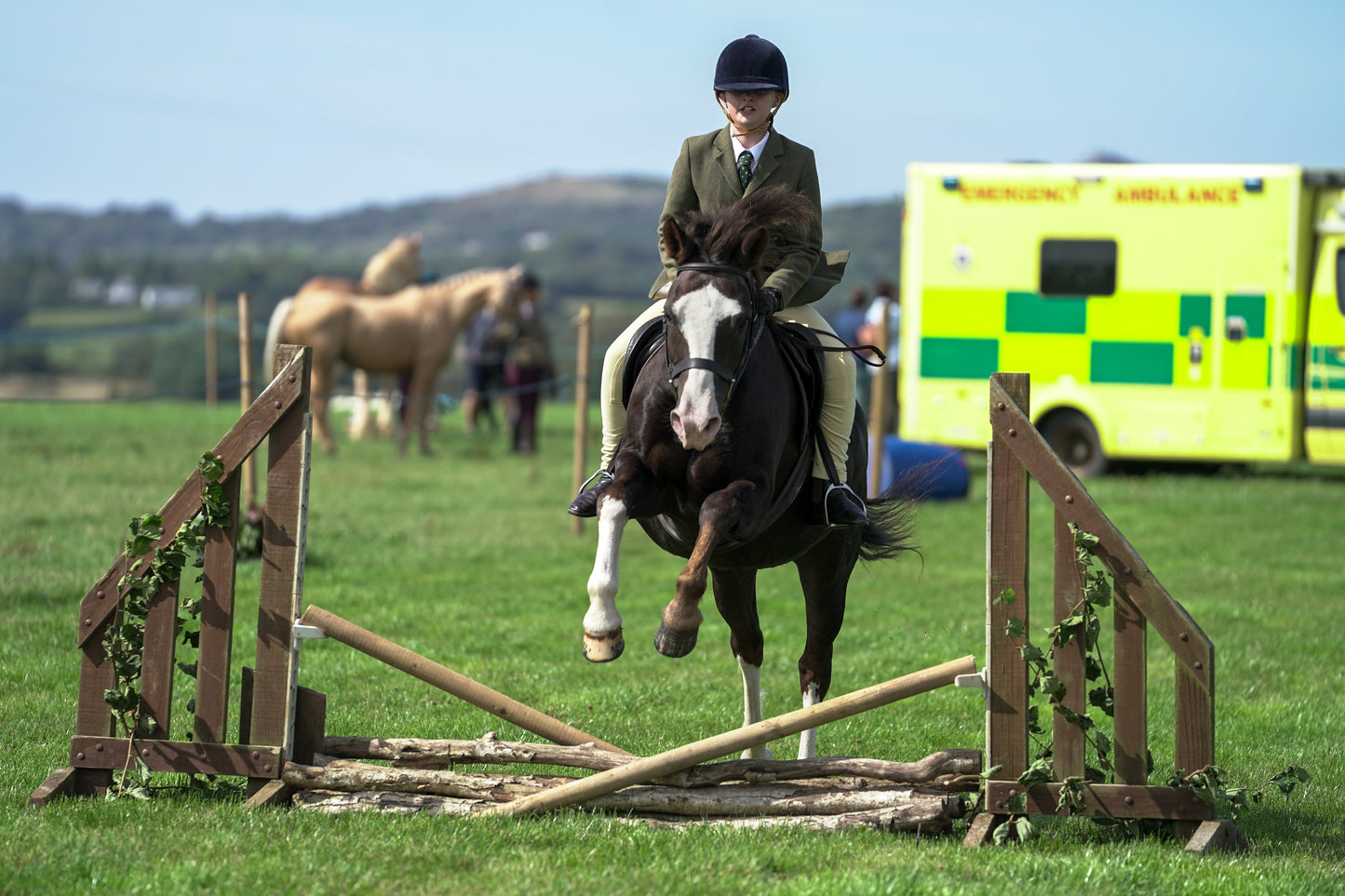 lanlivery show jumping rings part 2