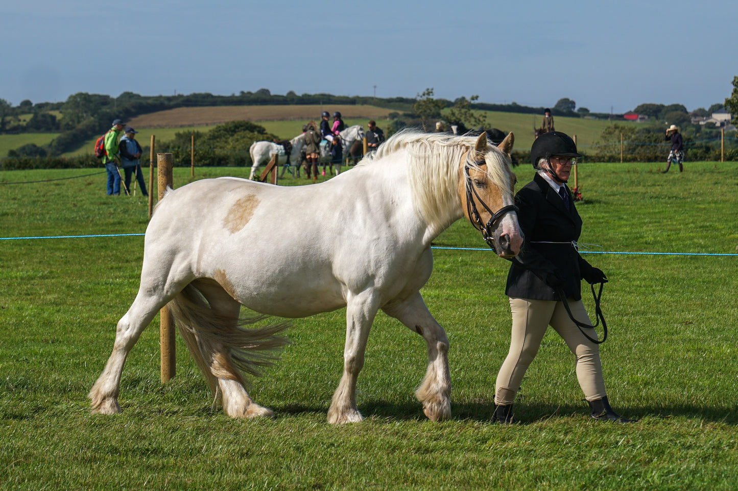 lanlivery show in hand part 2