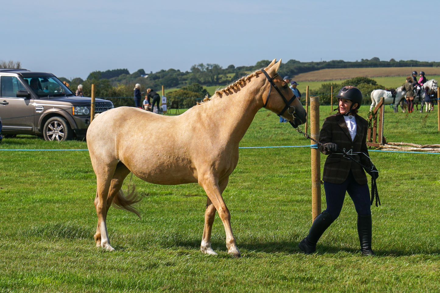 lanlivery show in hand part 2