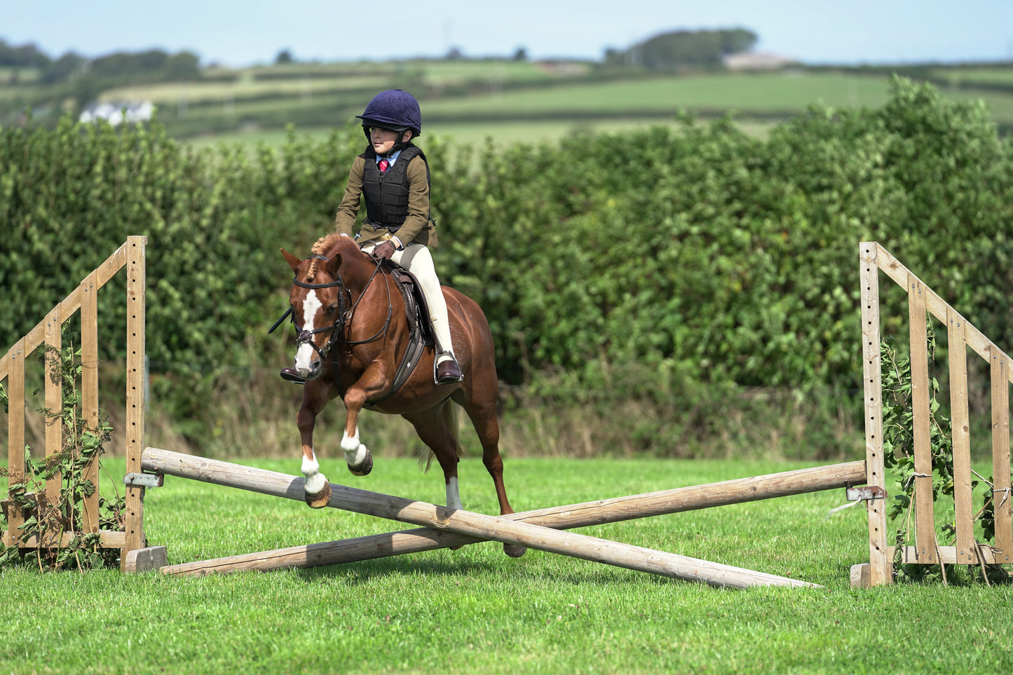 lanlivery show jumping rings part 2