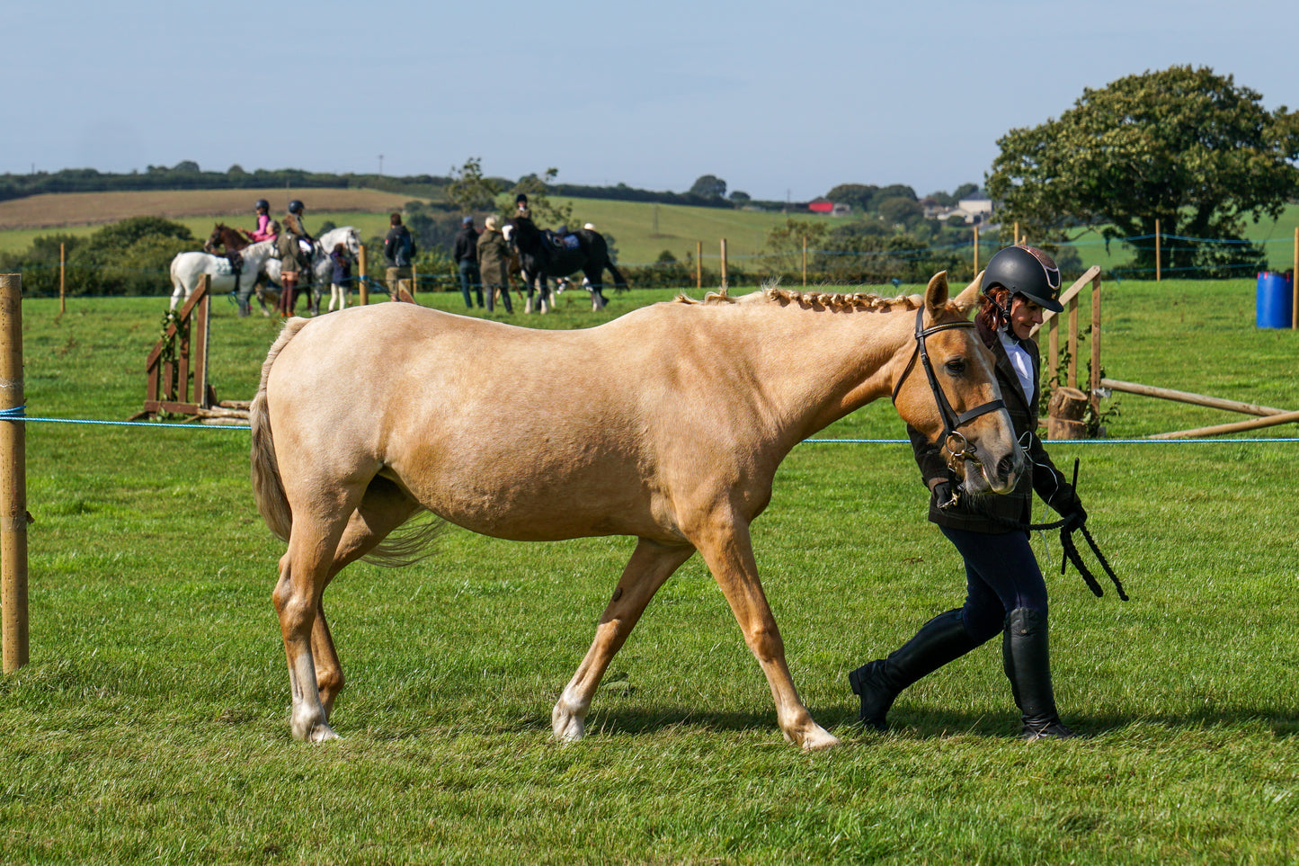 lanlivery show in hand part 2