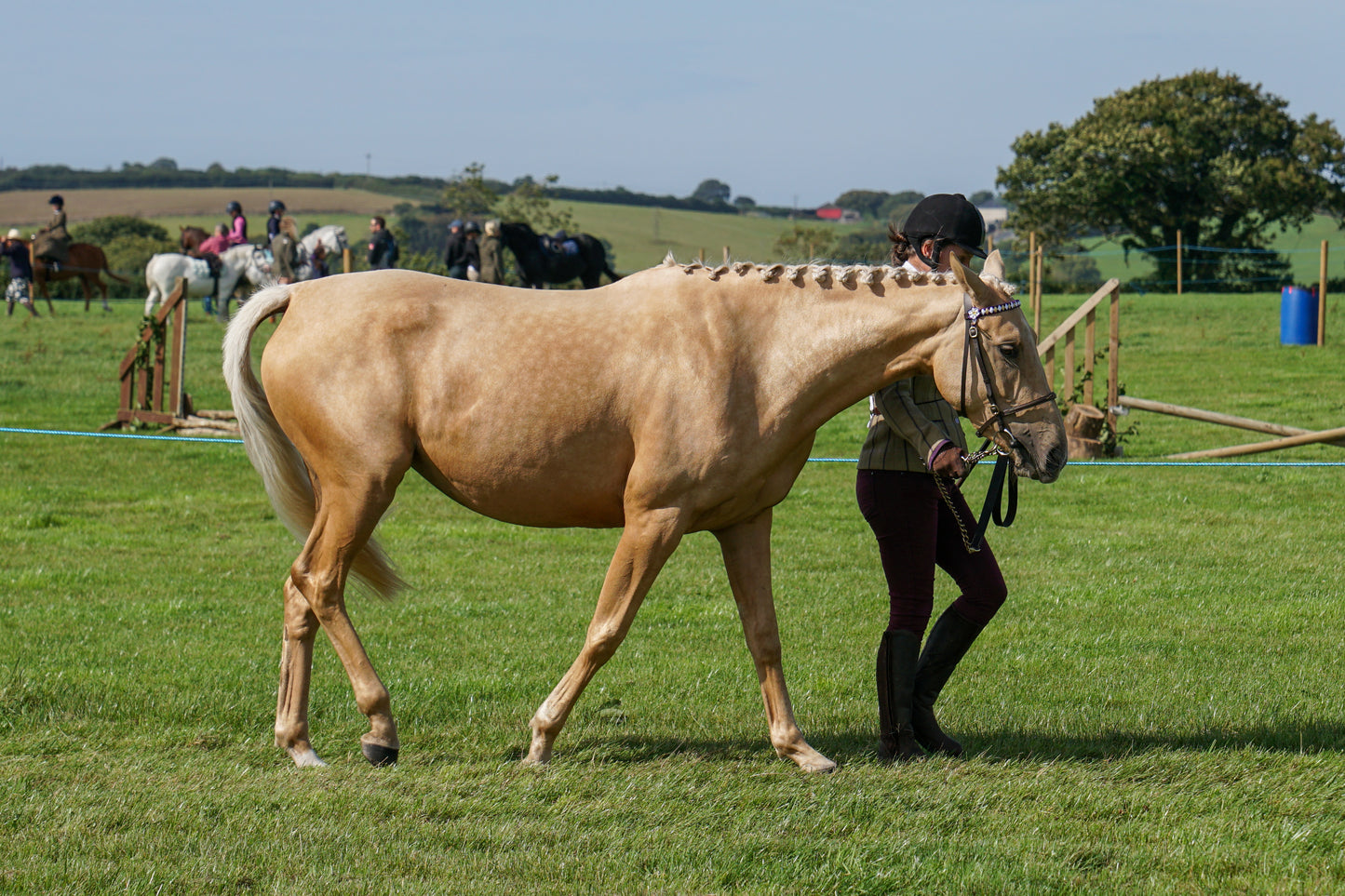 lanlivery show in hand part 2