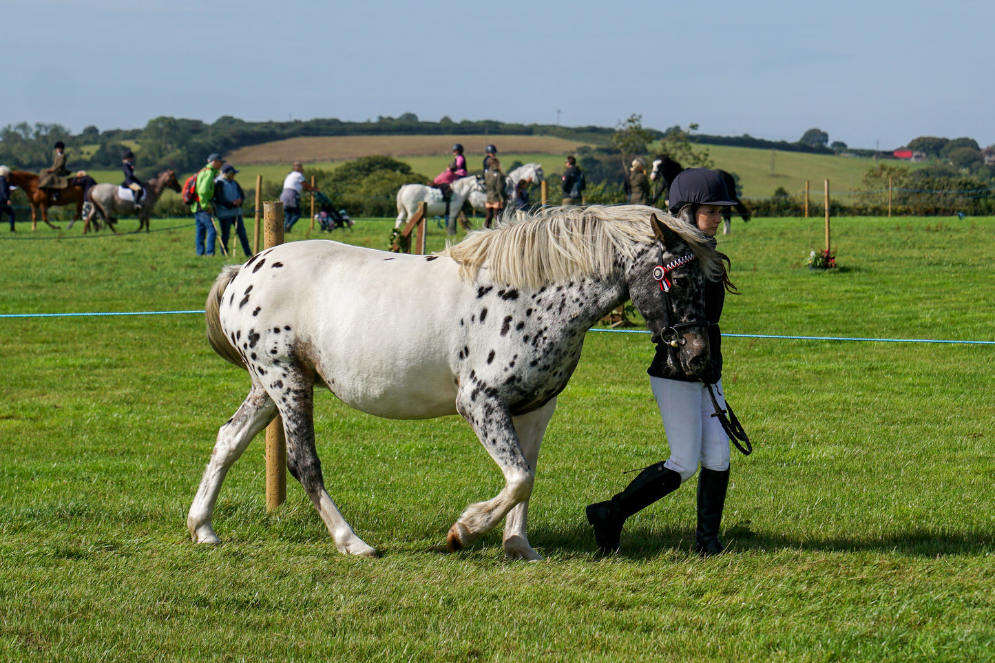lanlivery show in hand part 2