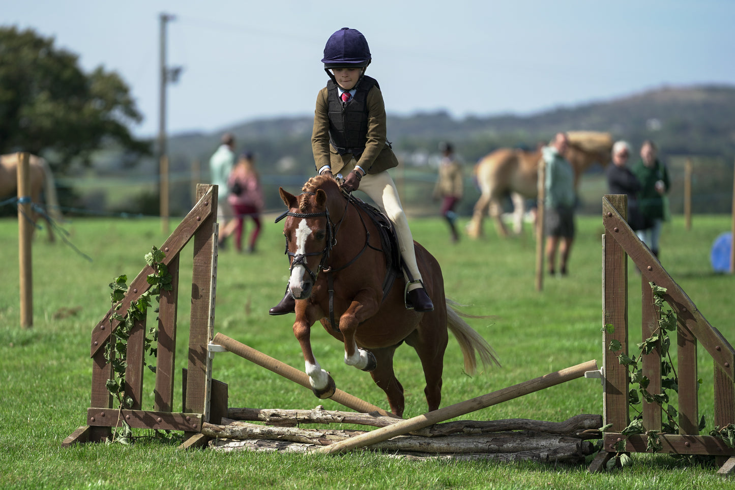 lanlivery show jumping rings part 2