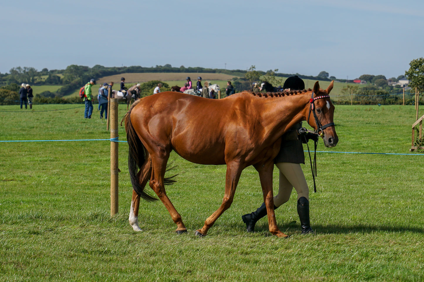 lanlivery show in hand part 2