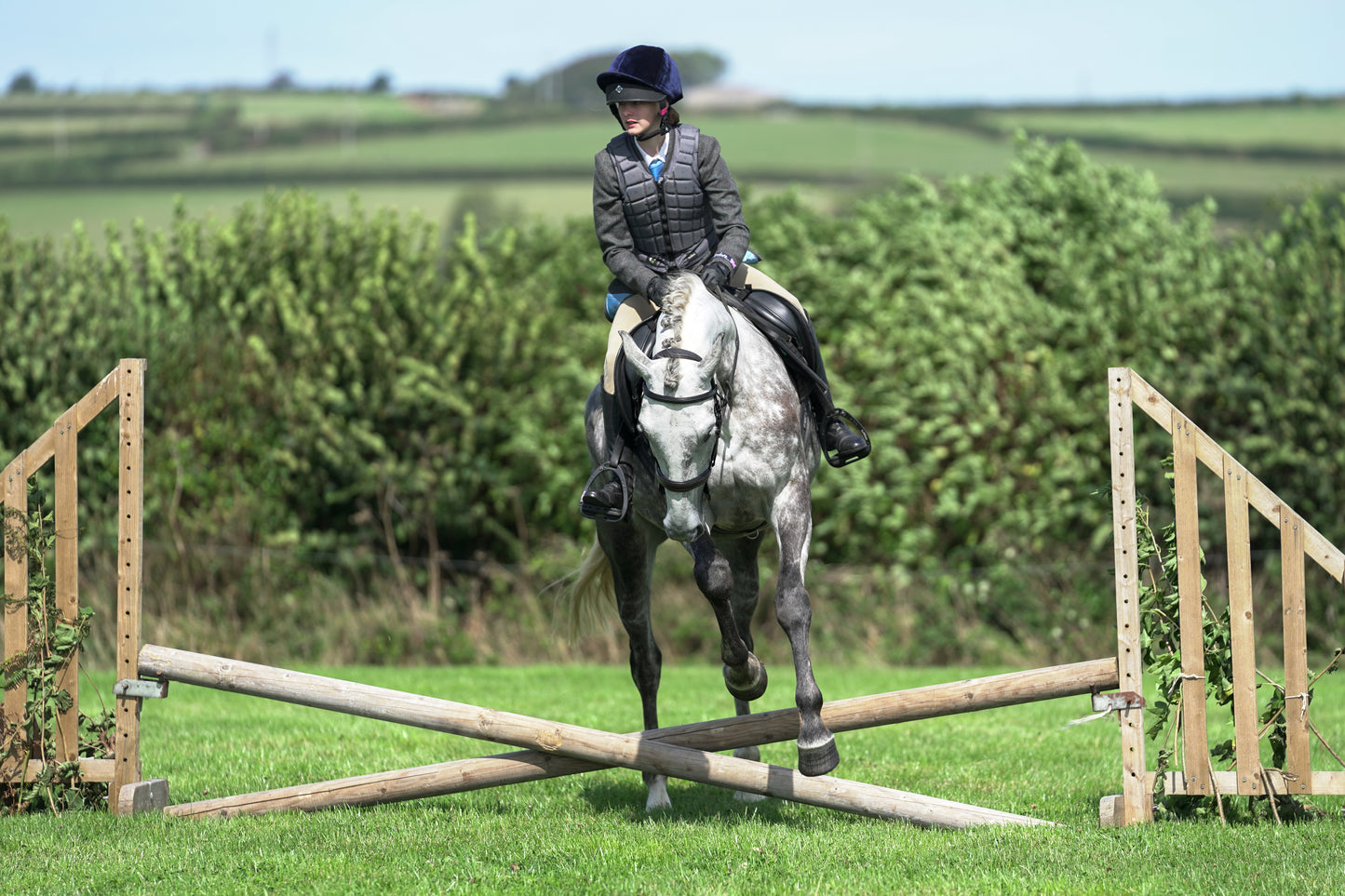 lanlivery show jumping rings part 2