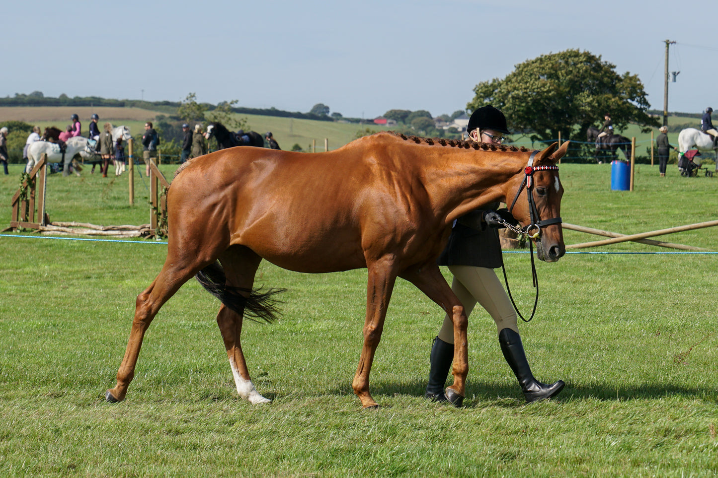 lanlivery show in hand part 2