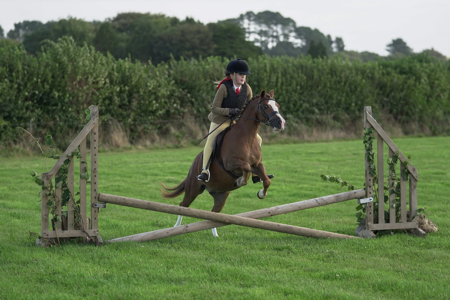 lanlivery show jumping rings part 1