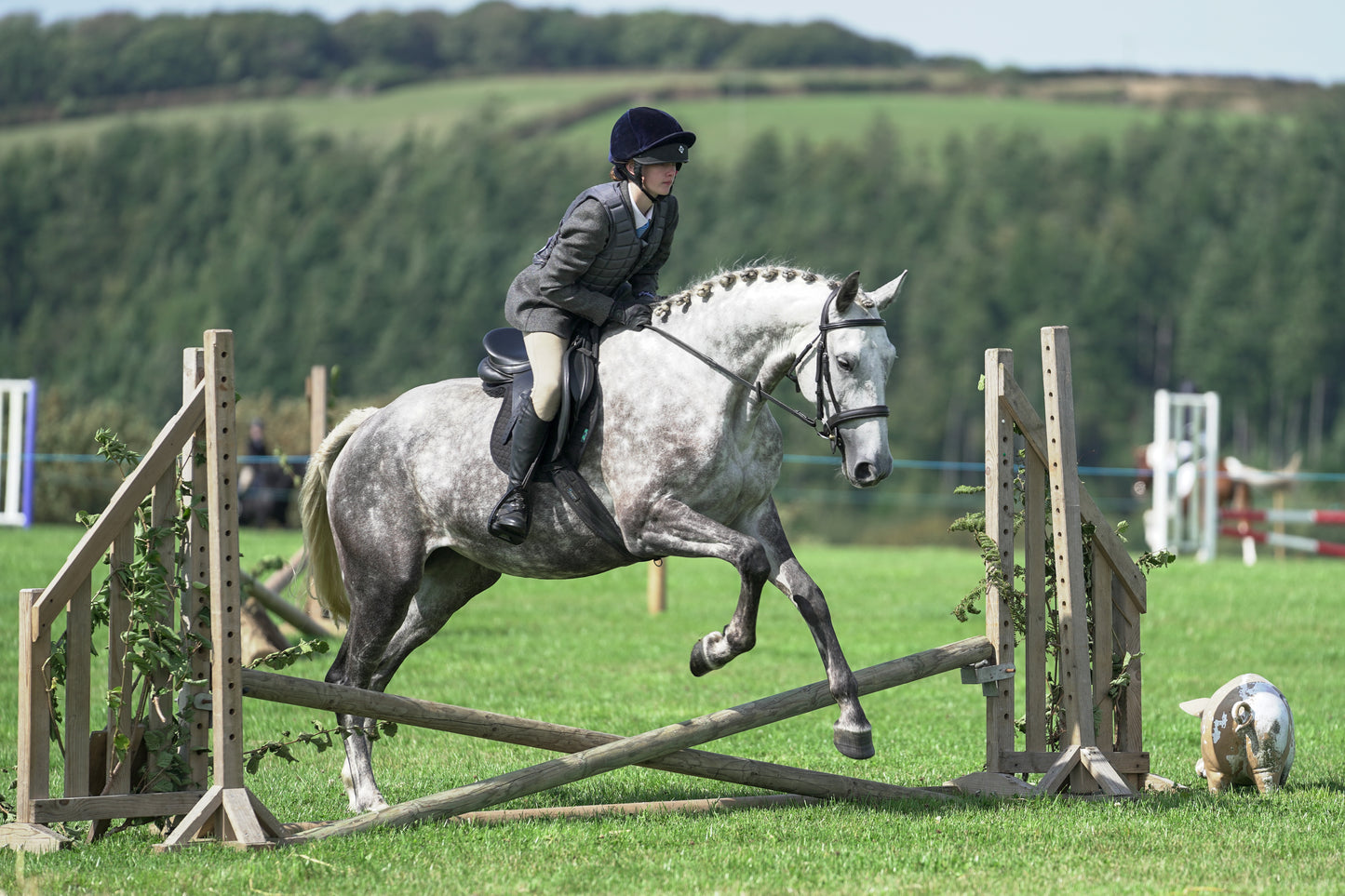 lanlivery show jumping rings part 2