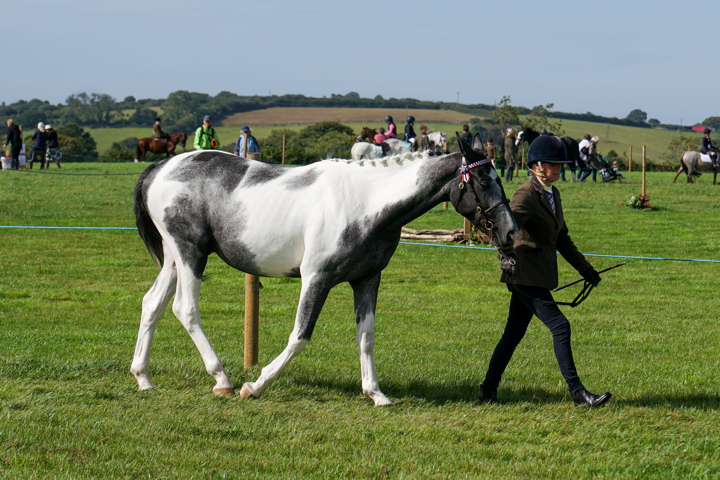lanlivery show in hand part 2