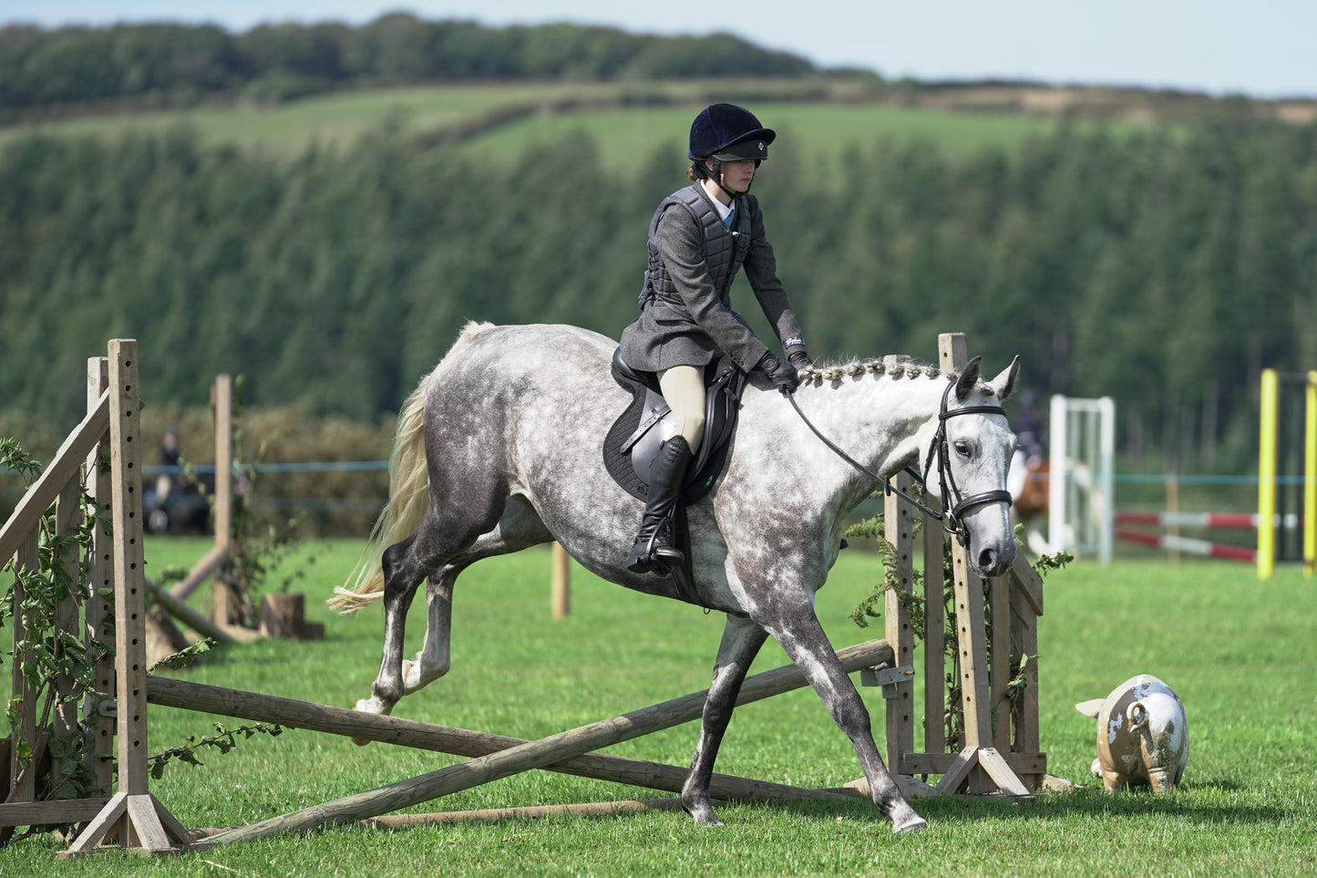 lanlivery show jumping rings part 2