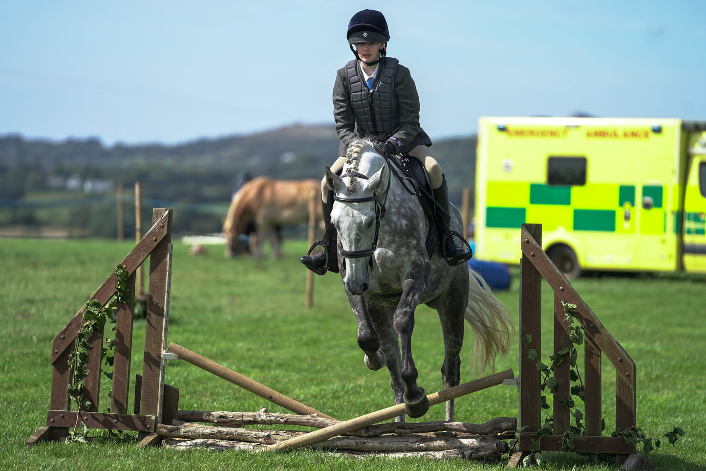 lanlivery show jumping rings part 2