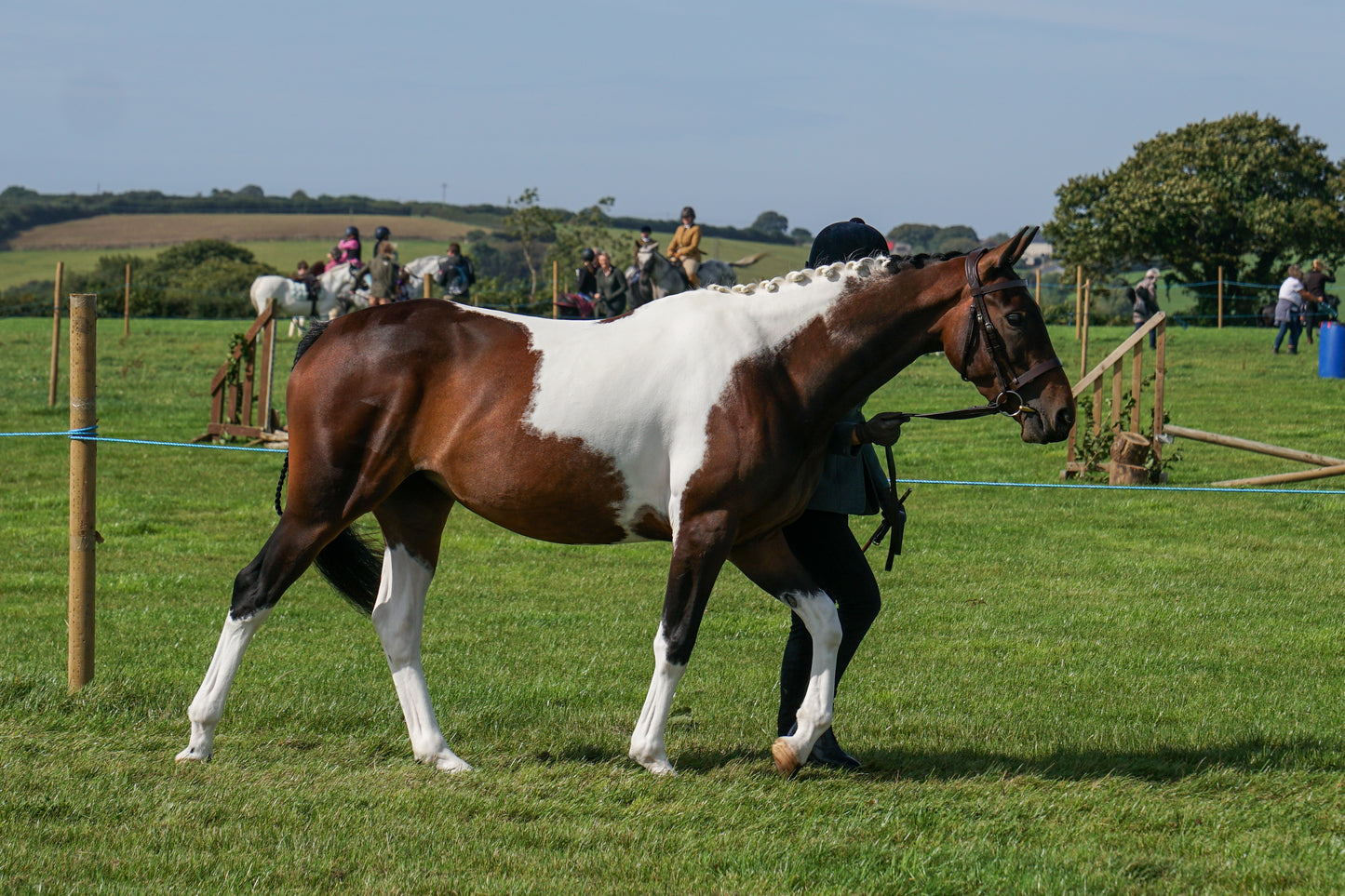 lanlivery show in hand part 2