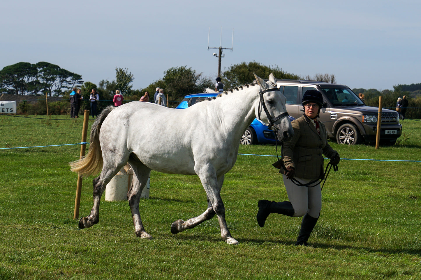 lanlivery show in hand part 2
