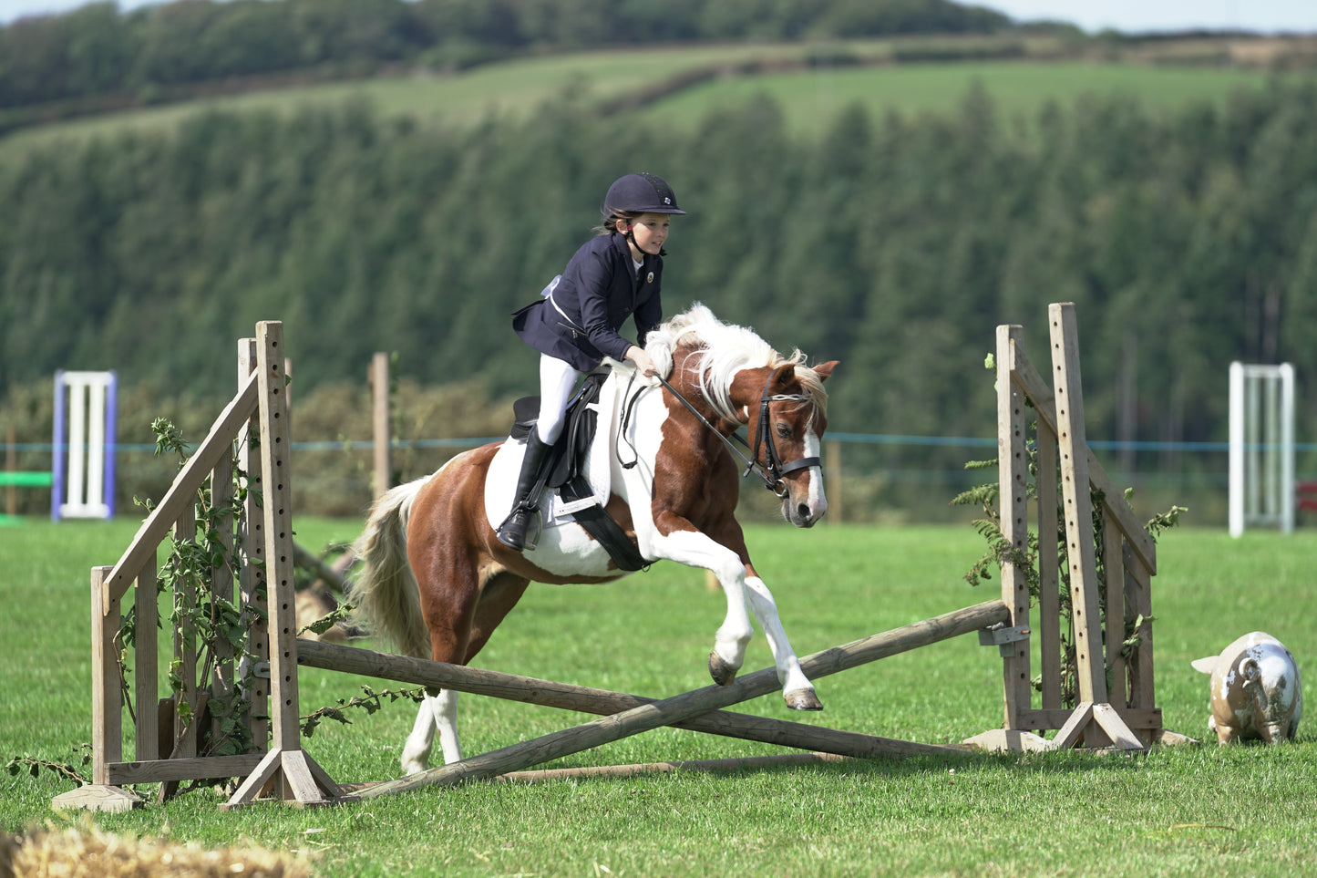 lanlivery show jumping rings part 2