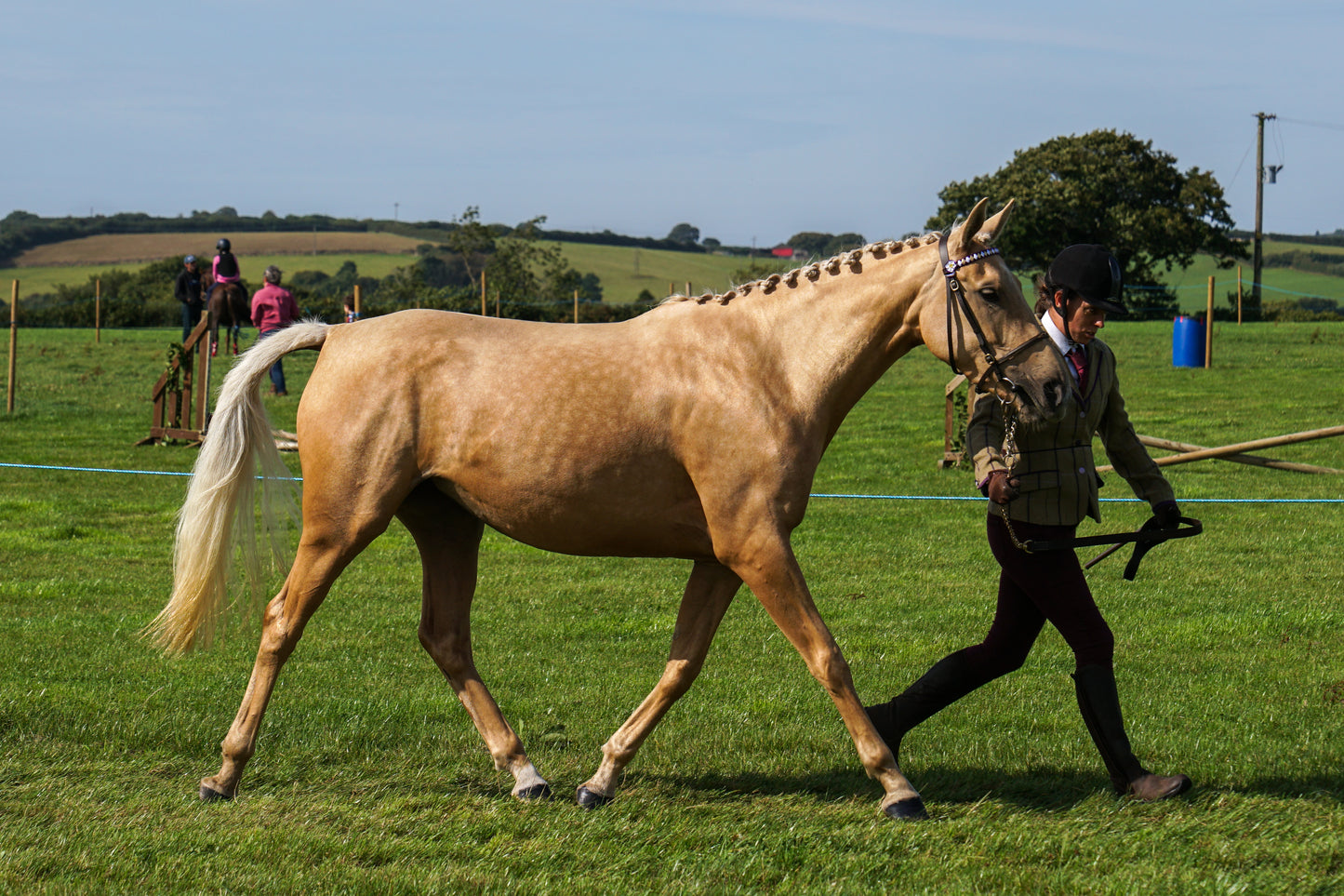 lanlivery show in hand part 2