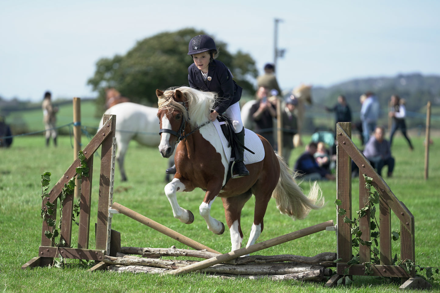lanlivery show jumping rings part 2