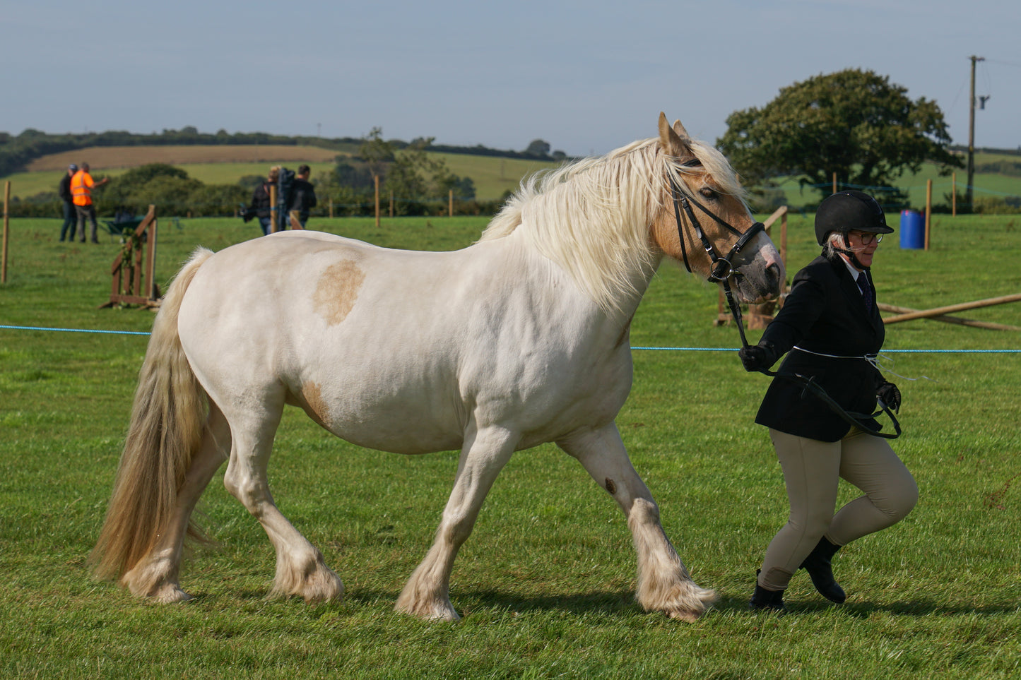 lanlivery show in hand part 2