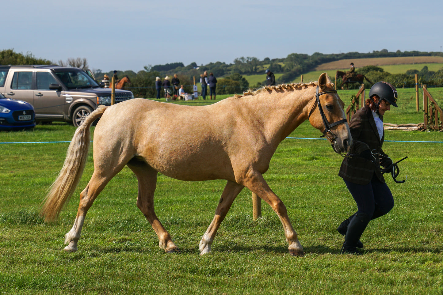 lanlivery show in hand part 2