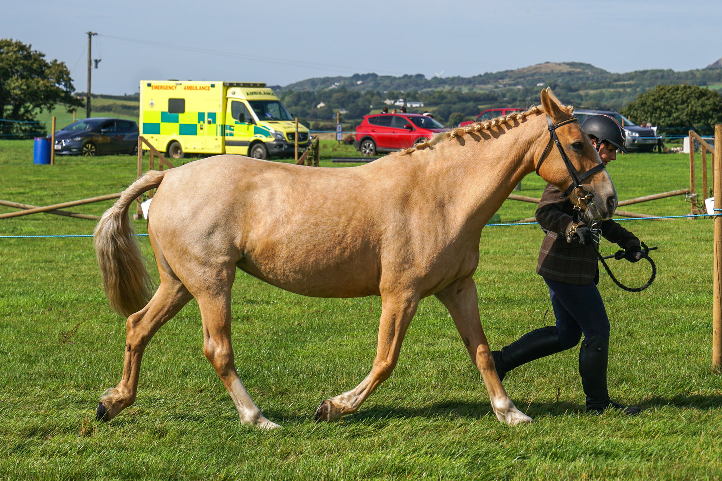 lanlivery show in hand part 2