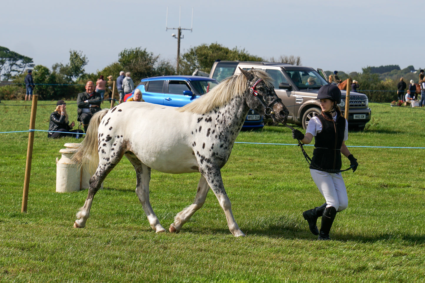 lanlivery show in hand part 2