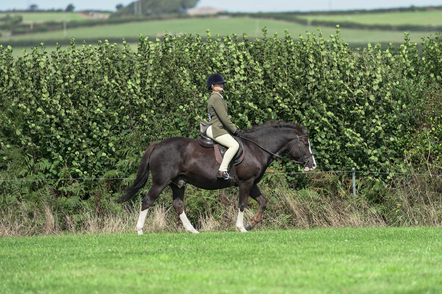 lanlivery show jumping rings part 2