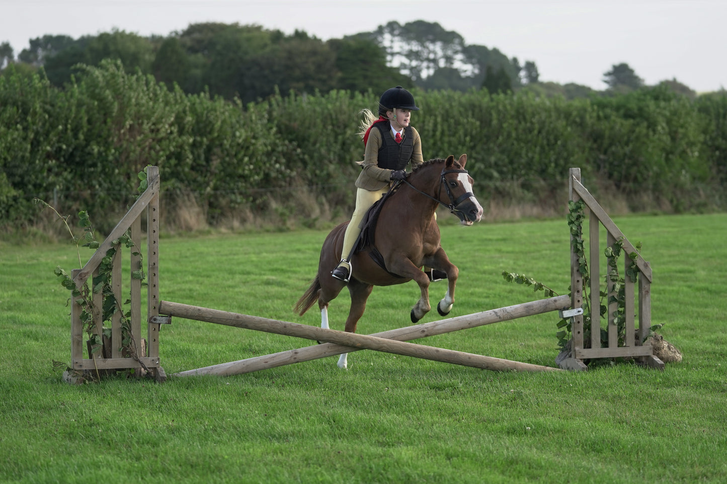 lanlivery show jumping rings part 1