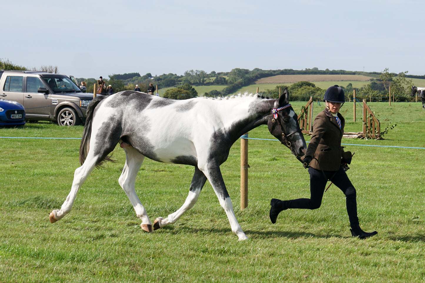 lanlivery show in hand part 2