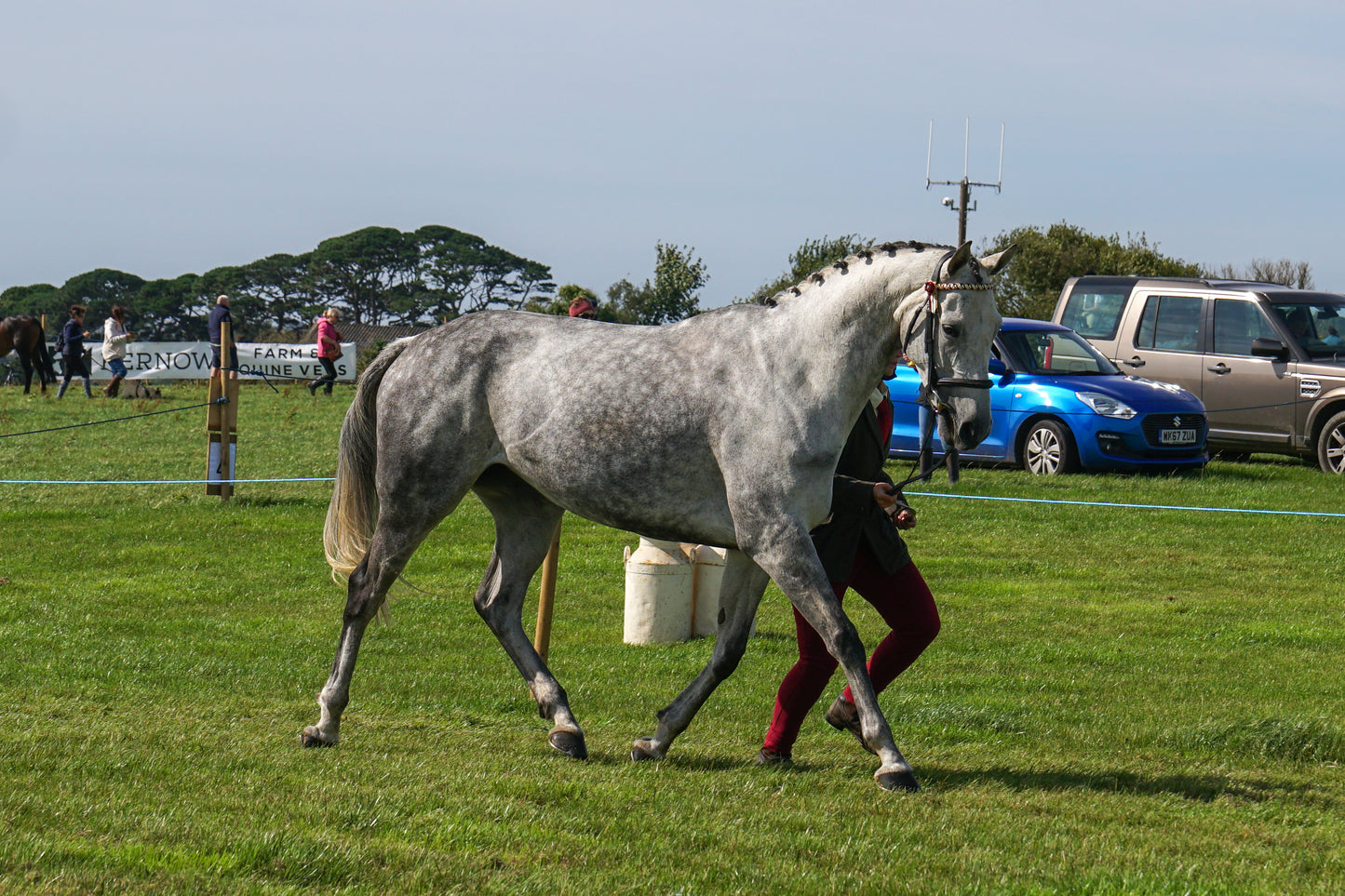 lanlivery show in hand part 2