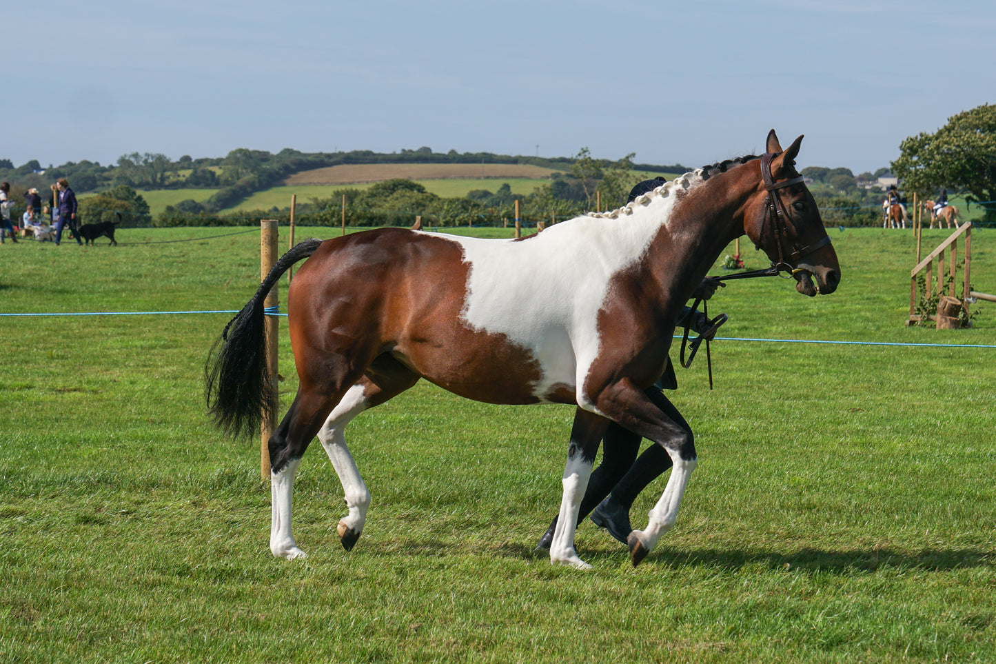 lanlivery show in hand part 2