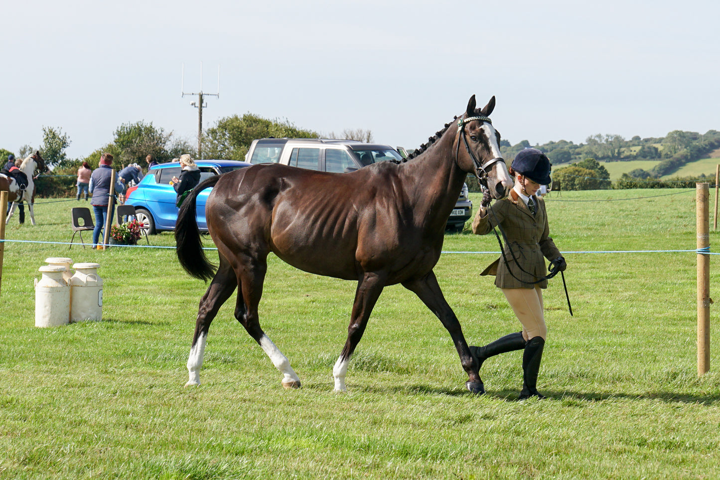 lanlivery show in hand part 2