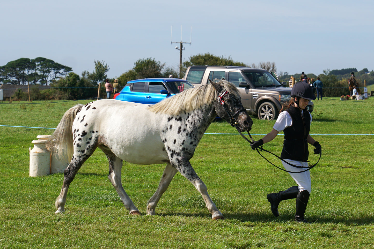 lanlivery show in hand part 2